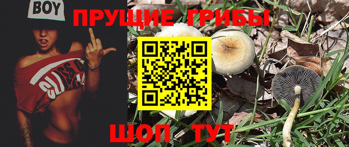 Псилоцибиновые грибы Psilocybe  Галлюциногенные грибы Cubensis  Моздок  Вход с VPN 